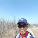 비석1교 이미지