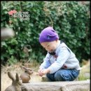 이조스튜디오 Daum카페