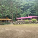 금강송계곡민박 이미지