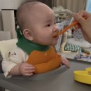 마스터푸드 | 리뷰 :: 이유식 준비, 쿠진 푸드스타일러 마스터 두유제조기로 초기부터 후기이유식 까지 만든 솔직후기🥣🤍