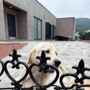 동남대중목욕탕 | [경기/천안] 수영장 있는 펜션, 가족여행 단체여행에 딱인 펜션퀸 (내돈내산)