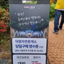 별빛정원 펜션 이미지