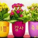 삼식이반찬 이미지