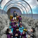 송정미라어린이집 이미지