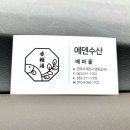전주 수목원 맛집 향어회가 맛있는 에덴수산 후기