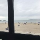 빠체B