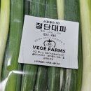 대성대여소 이미지