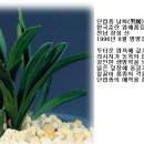 남희 이미지
