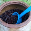 아로니아효소 뜨기, 이런 방법 맞나요 이미지