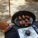 아잘리아그린 이미지