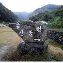 율산농장 이미지