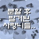 리봄치과의원 이미지