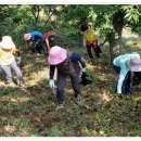 4공주농장 이미지