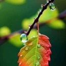 나무부동산중개 이미지