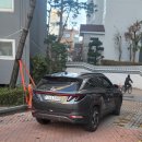 호호호 하하하 투싼 이미지