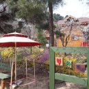 병아리펜션 이미지