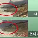 대하반점 이미지
