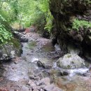 구룡1리 약수 이미지