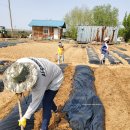 간식 텃밭 만들기 이미지