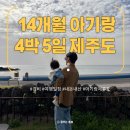14개월 아기랑 4박 5일 제주도 여행 경비 및 일정