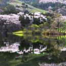 호수목장 이미지