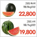 일등마트 이미지