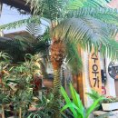 수우정보 | 숙대입구역 맛집 '수우가' 프라이빗룸 단체모임, 데이트코스 메뉴 추천