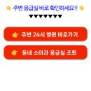 전남 장흥 근처 응급실 위치 및 야간 휴일 진료가능 병의원 소아과 조회 이미지
