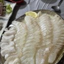 늘바다회센타 | 삽교천 바다회센터 – 제철 회, 모듬 해산물 후기(내돈내산)