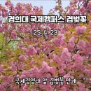 경희대학교 국제캠퍼스 테니스장1