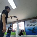 T.S 한국체대 한일태권도장 네이버블로그