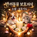 지리산동물병원 | [공지] 반려동물 기도 어디서 해야 할까? 수술·건강...보호기도 실제 진행 안내 (지리산·팔공산)