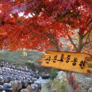 산촌농원 이미지