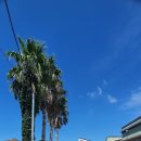 쉴만한 펜션 이미지