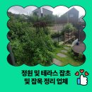 신흑1통마을회관 | 정원 및 테라스 잡초 및 잡목 정리 업체