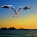 해뜨는풍경 이미지