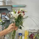 가비맨션 이미지