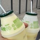 코오롱글로벌(주) 스포렉스 운정행복 | 운정스포츠센터 코오롱스포렉스 수영장 - 50m 레인 자유수영 주말 방문후기, 시간표, 주차