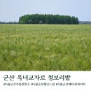 옥녀당 | 군산 옥녀교차로 청보리밭 메타쉐콰이어숲 주차