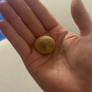 남천안1급정비(주) | 2025년 3분기 결산