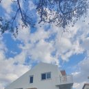 퐁낭그늘 이미지