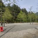 곰배령 벨리 이미지