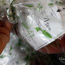 레알라면 이미지