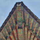 스피드게임 이미지