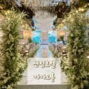 호텔카카오2호점 | W 4. 부산 웨딩홀투어 : 센텀호텔웨딩홀 카카오홀(카카오트리) 2026년 1월 견적 공유 가능
