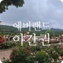 [용인 처인구 포곡읍] 겁쟁이 평일 비 오는 날 놀이 기구 대기시간 없이 탄 야간권 방문기