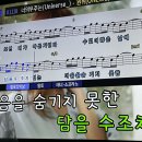 원위님들~ 첫 글 적어봐요 ㅎㅎ 이미지