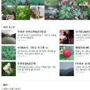 은혜네집