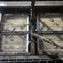 (주)푸른환경 이미지