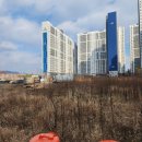 영남중학교 이미지